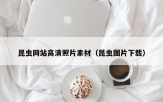 钦州昆虫网站高清照片素材（昆虫图片下载）